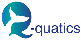 Q-Quatics logo