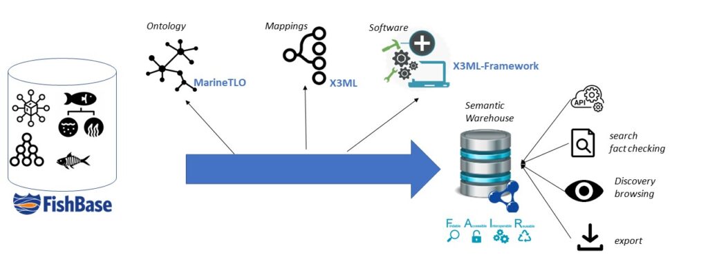 SemantyFish workflow